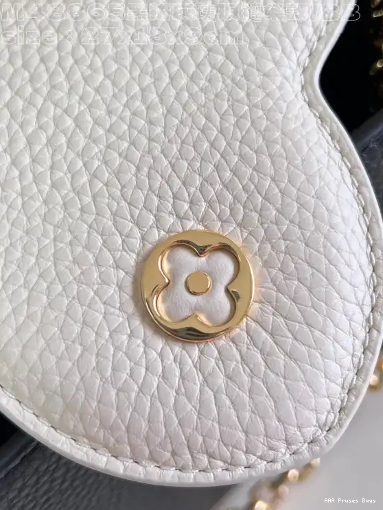 AAA Pruses Bags VUITTON CAPUCINES LOUIS BB-27*18*9CM 0617